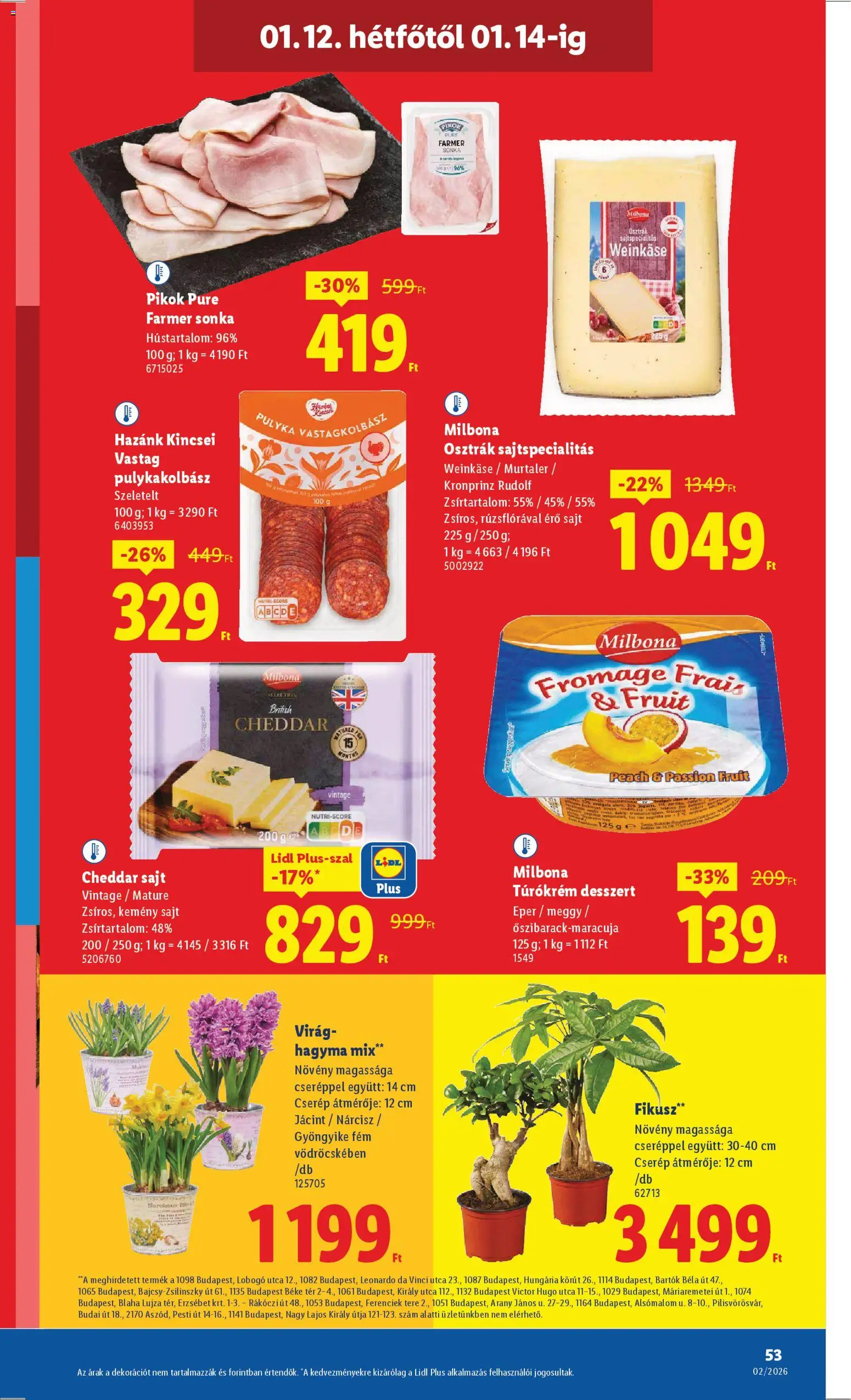 Lidl akciós ujság - amely érvényes a következő dátumtól: 08.01.2026 | Oldal: 53