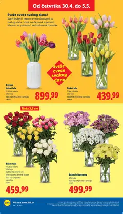 Lidl katalog - pregled Lidl kataloga - važi od 30.04.2026 | Strana: 66