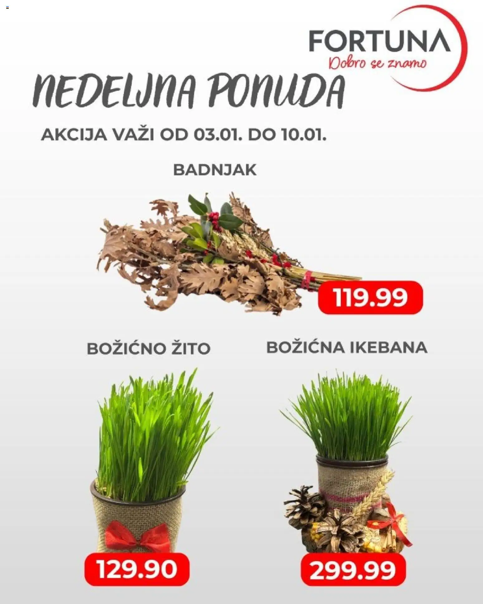 Fortuna Market katalog - važi od 03.01.2026 | Strana: 2