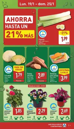 Vista previa Col verde, Origen: España, Canarias. Categoría: I. A granel válido desde el 19.01.2026 | Página: 3 | Productos: Σφουγγαρίστρα