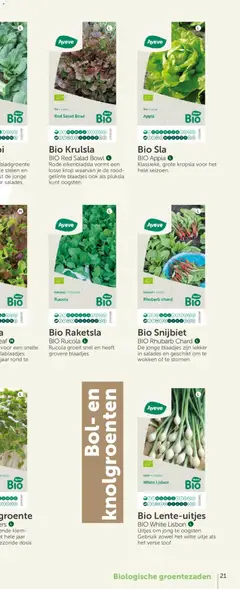 Aveve Groente- en kruidengids - Voorbeeld van een folder van Aveve, geldig van 23.02.2026 | Pagina: 41