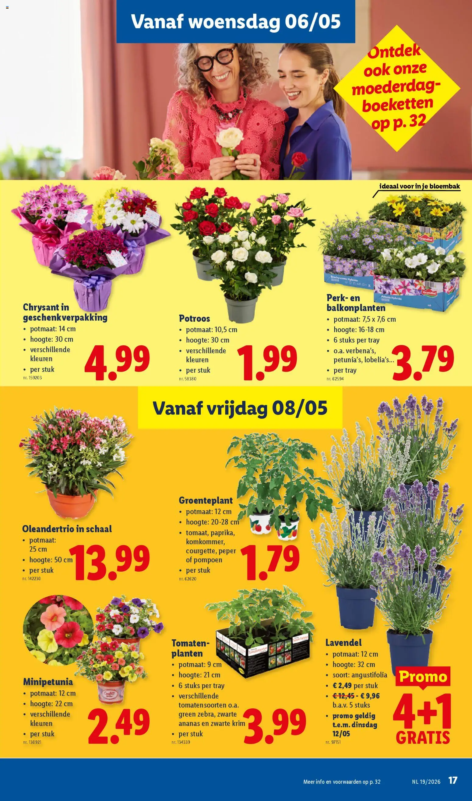 {H1} | Pagina: 17 | Producten: Ananas, Peper, Pompoen, Schaal