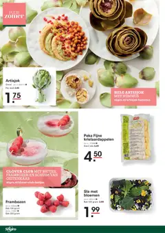 | Pagina: 4 | Producten: Artisjok, Bloemen, Zak, Frambozen