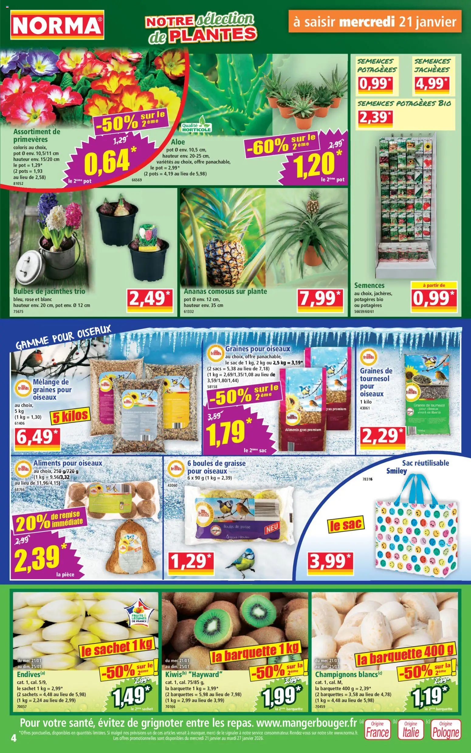 {H1} | Page: 4 | Produits: Sac réutilisable, Sac, Plantes, Ananas