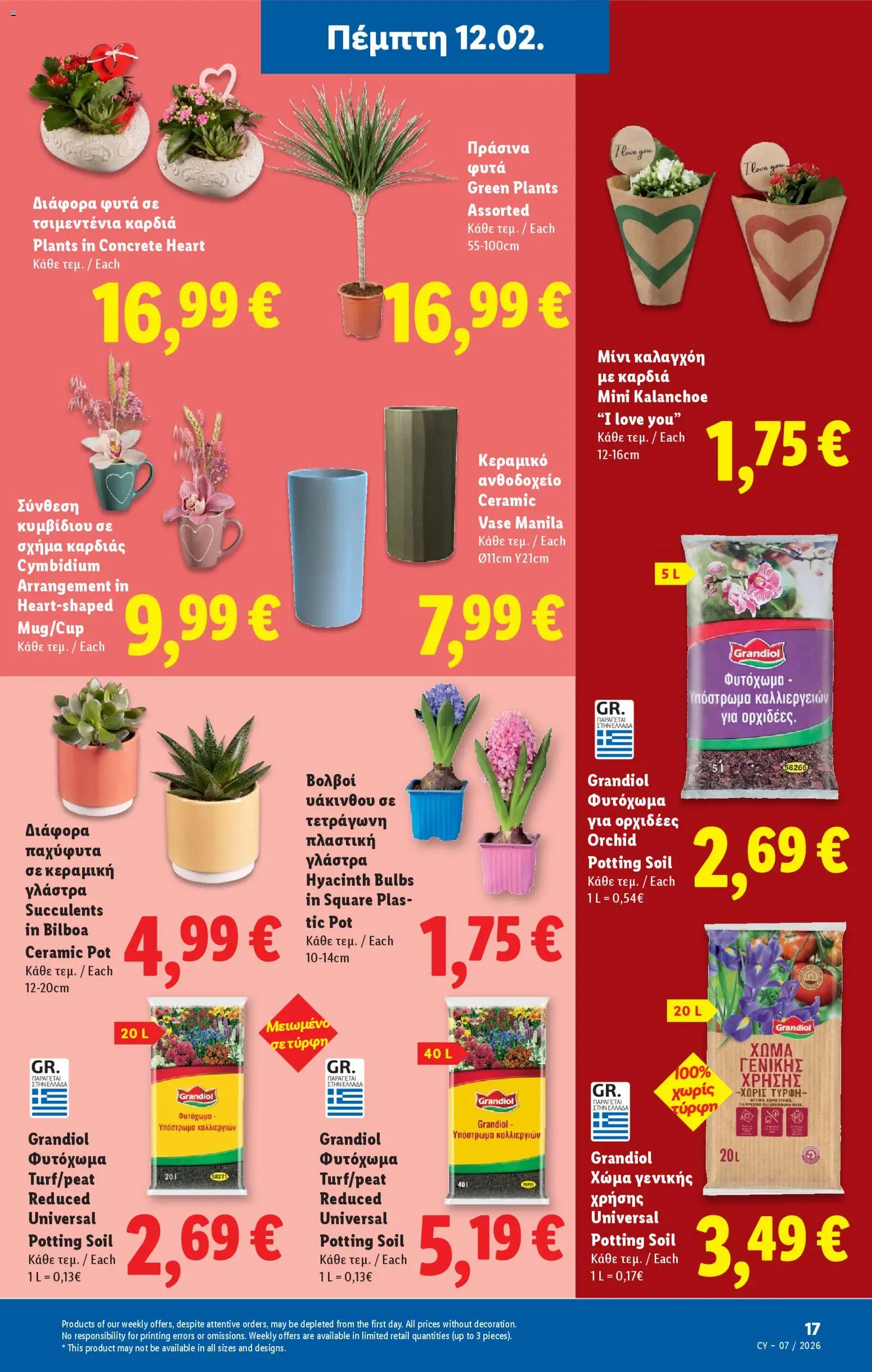 Lidl - Φυλλάδιο – σε ισχύ από 12.02.2026 | Σελίδα: 17