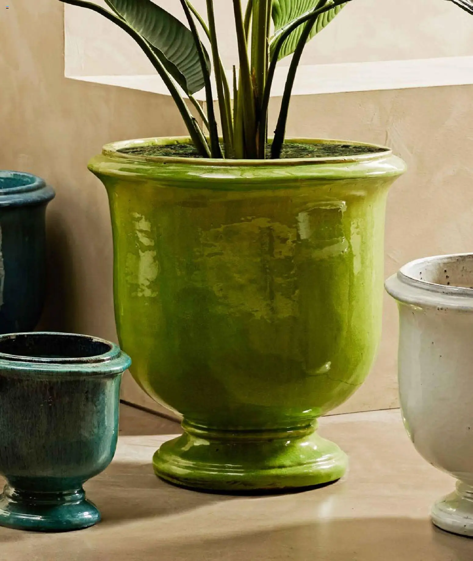 Mudo - Katalog Bahçe 2026  - 01.01.2026 tarihinden itibaren geçerlidir | Sayfa: 147