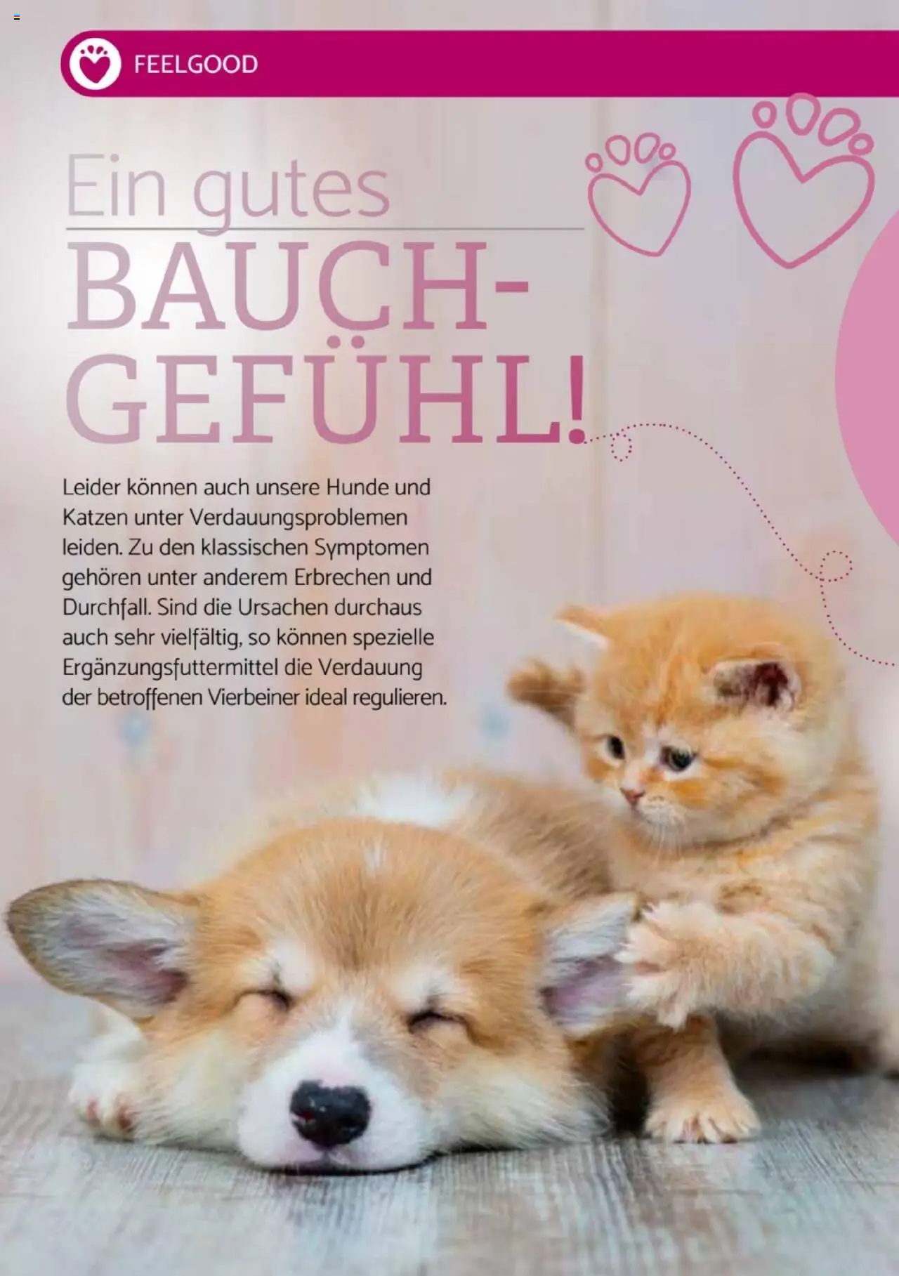 zookauf -Heimtier Journal Special - gültig ab dem 21.07.2025 | Seite: 6