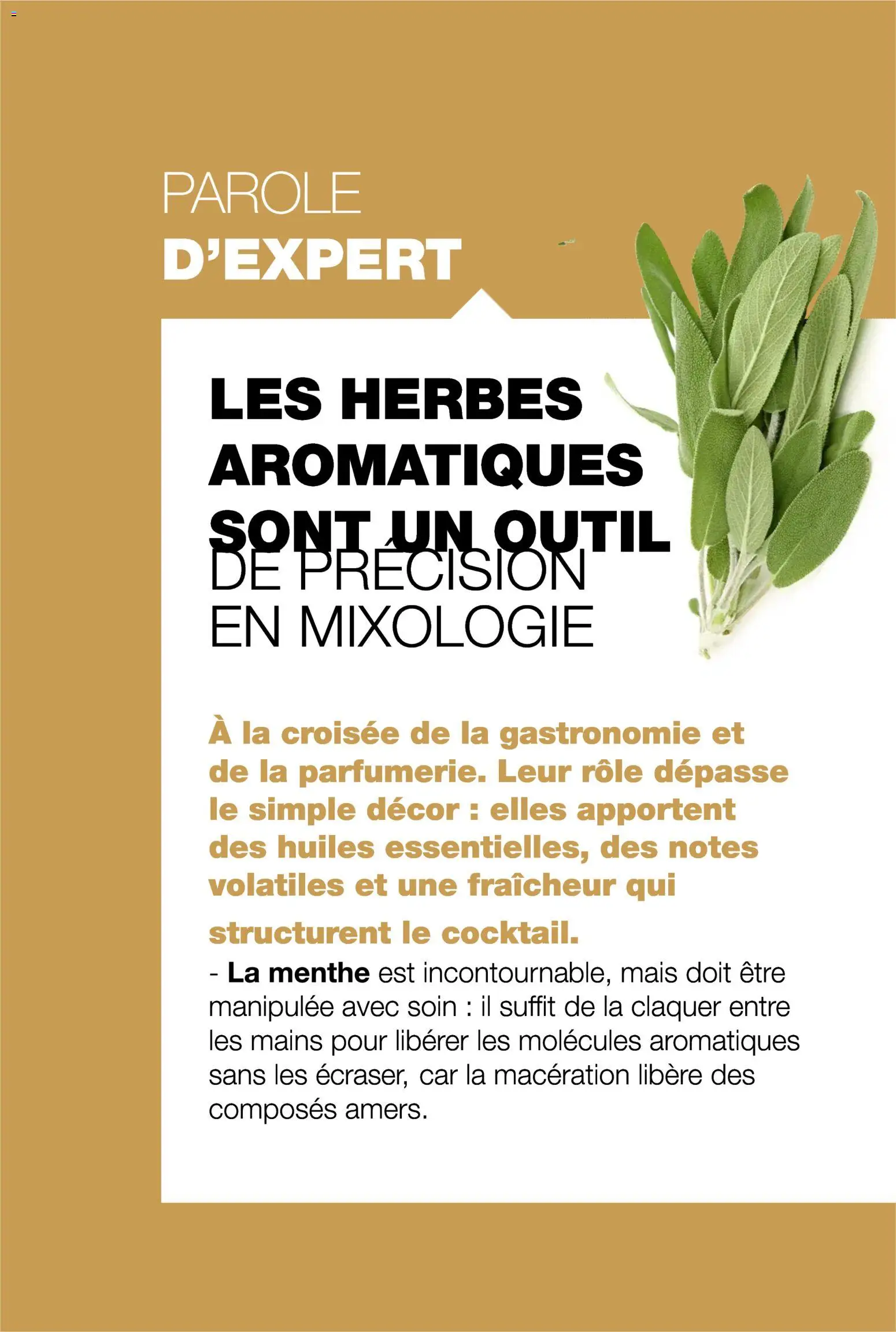 {H1} | Page: 44 | Produits: Menthe, Mais