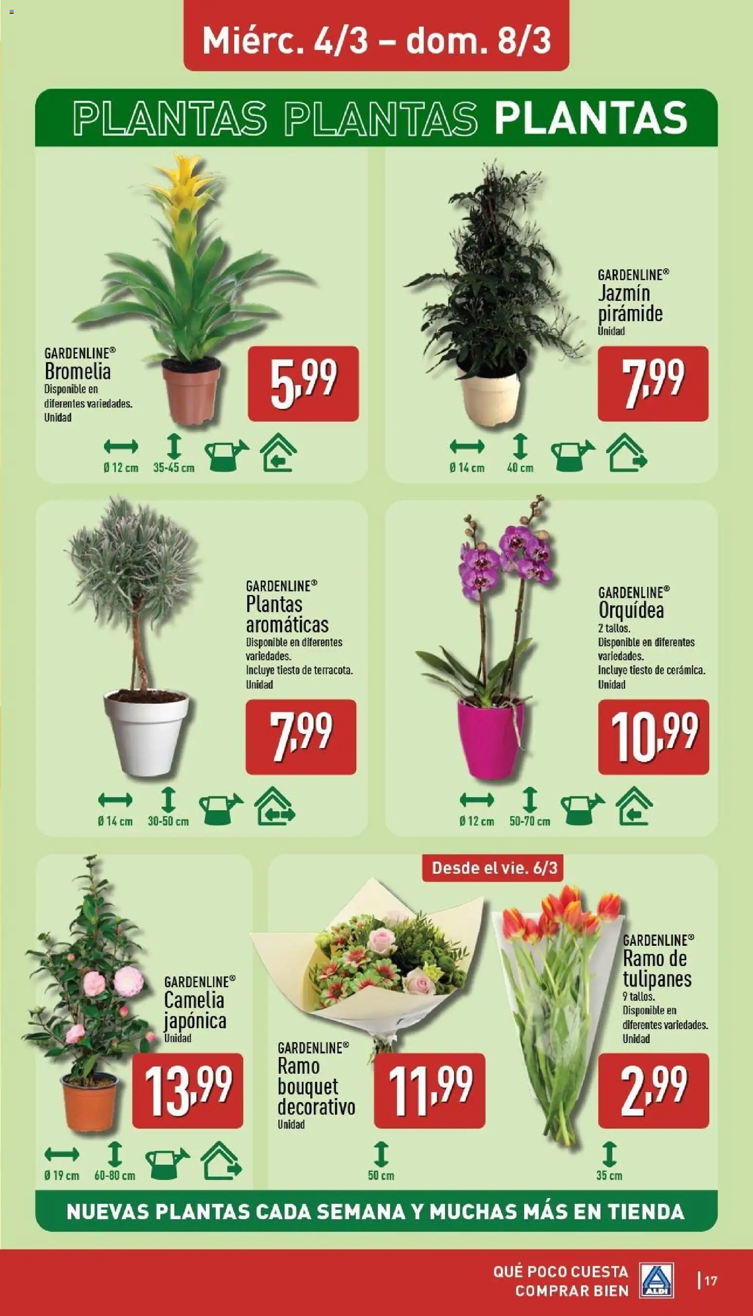 Aldi folleto Península │ válido desde el 02.03.2026 | Página: 17