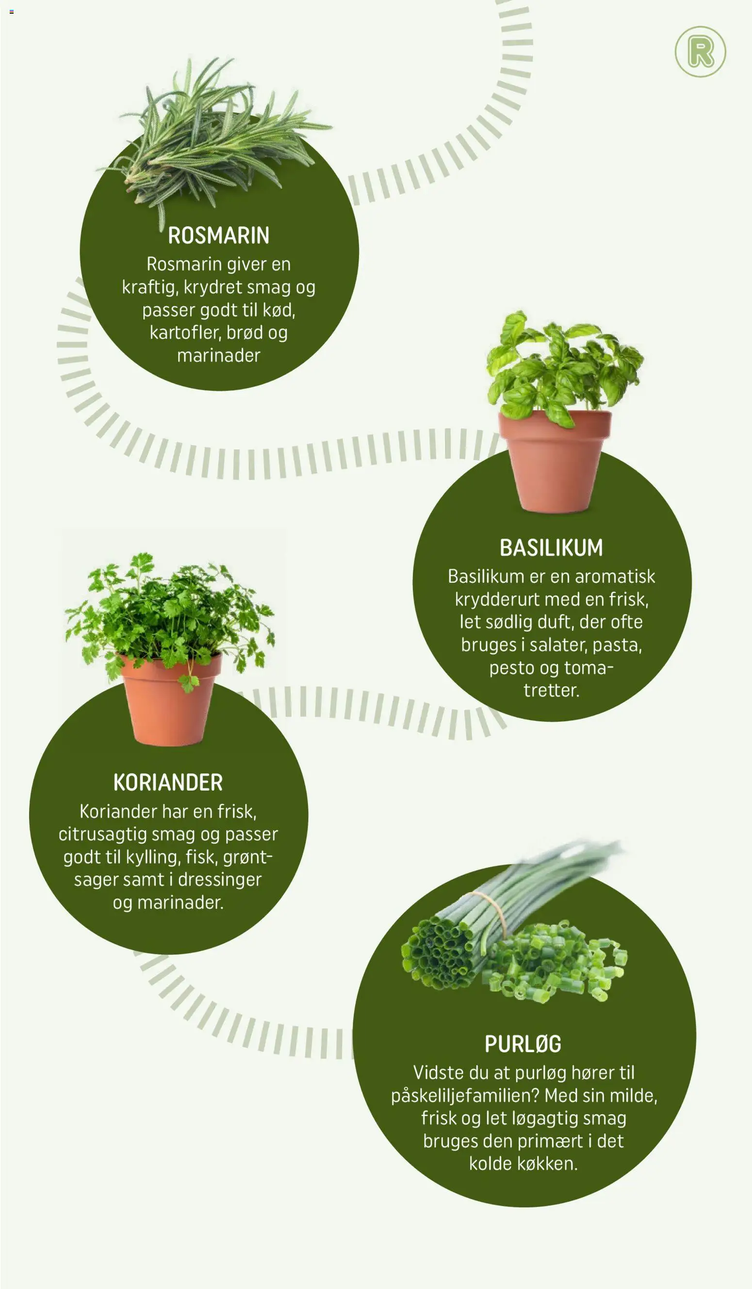 Rema 1000 tilbudsavis – gyldig fra 31.03.2026 | Side: 6 | Produkter: Purløg, Brød, Pesto, Basilikum