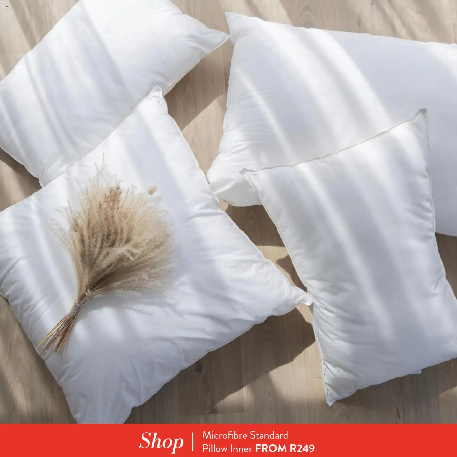 New Volpes catalogue – valid from 24.04.2026 | Page: 2 | Products: Dill