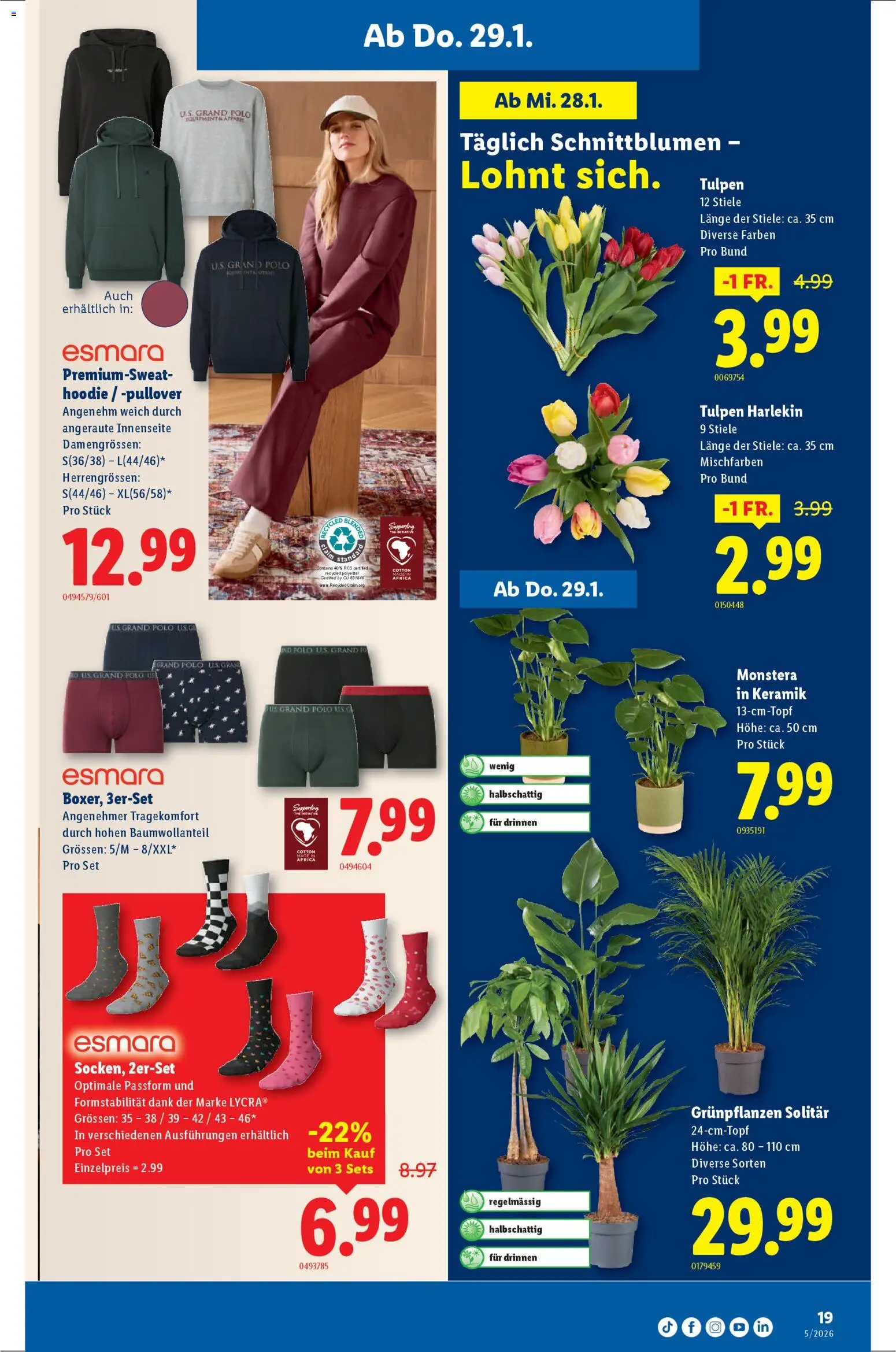 Lidl Aktionen – gültig ab 29.01.2026 | Seite: 19 | Produkte: Hoodie, Pullover