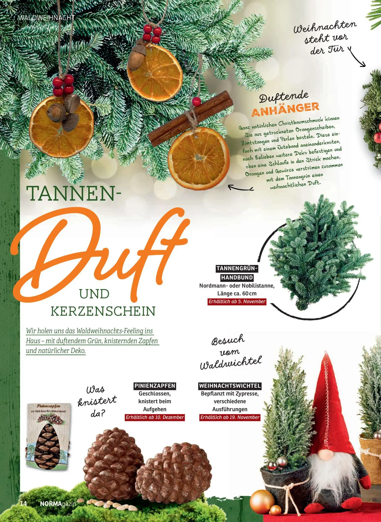 Norma NORMAgazin November/Dezember 2025 – gültig ab 01.11.2025 | Seite: 14 | Produkte: Tür, Duft, Orangen, Gewürze