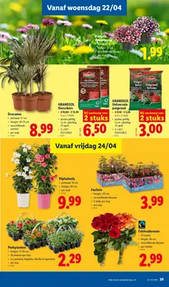 GRANDIOL Universele potgrond, € 7,78 - € 5,99 b.a.v. 2 stuks, promo geldig t.e.m. zaterdag 25 april, 2 x 40 l- 0,07 EUR/L - Voorbeeld van een folder van Lidl, geldig van 20.04.2026 | Pagina: 29