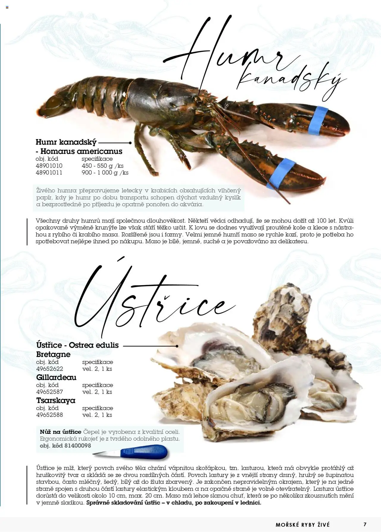 Jip katalog ryby 2024/25 od 30.12.2024 | Strana: 7 | Produkty: Ryby, Nůž, Maso