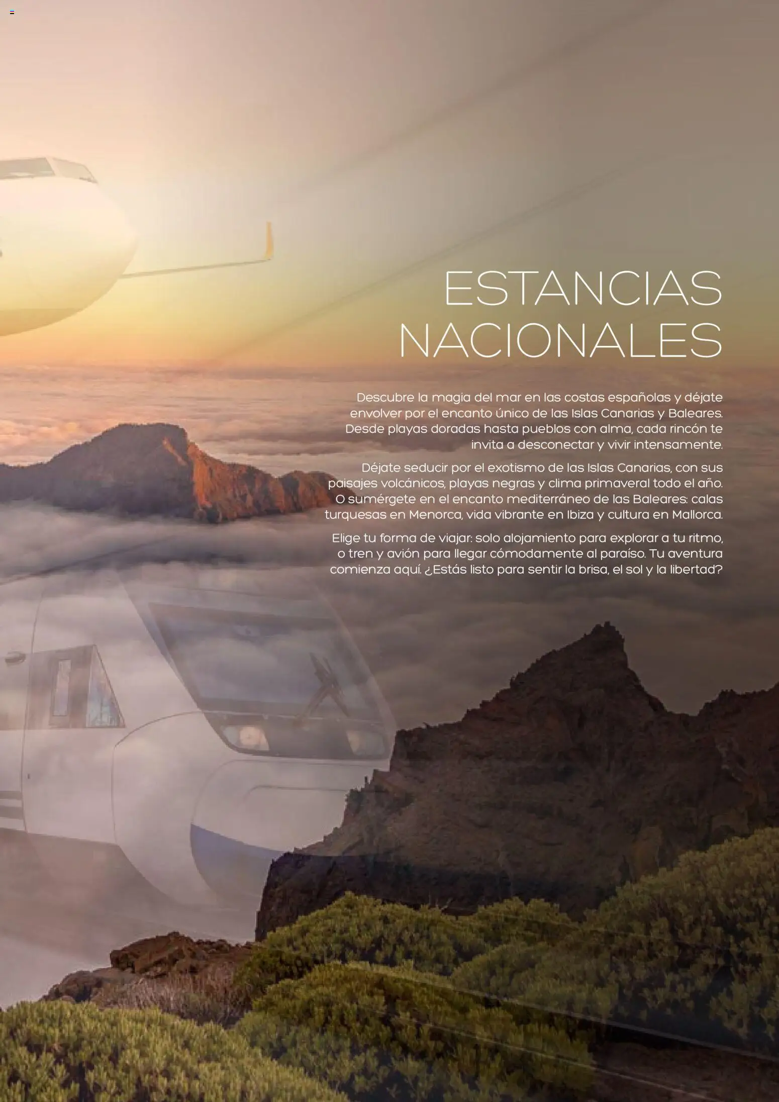 Viajes El Corte Inglés Vacaciones Económicas │ válido desde el 22.10.2025 | Página: 27 | Productos: Té