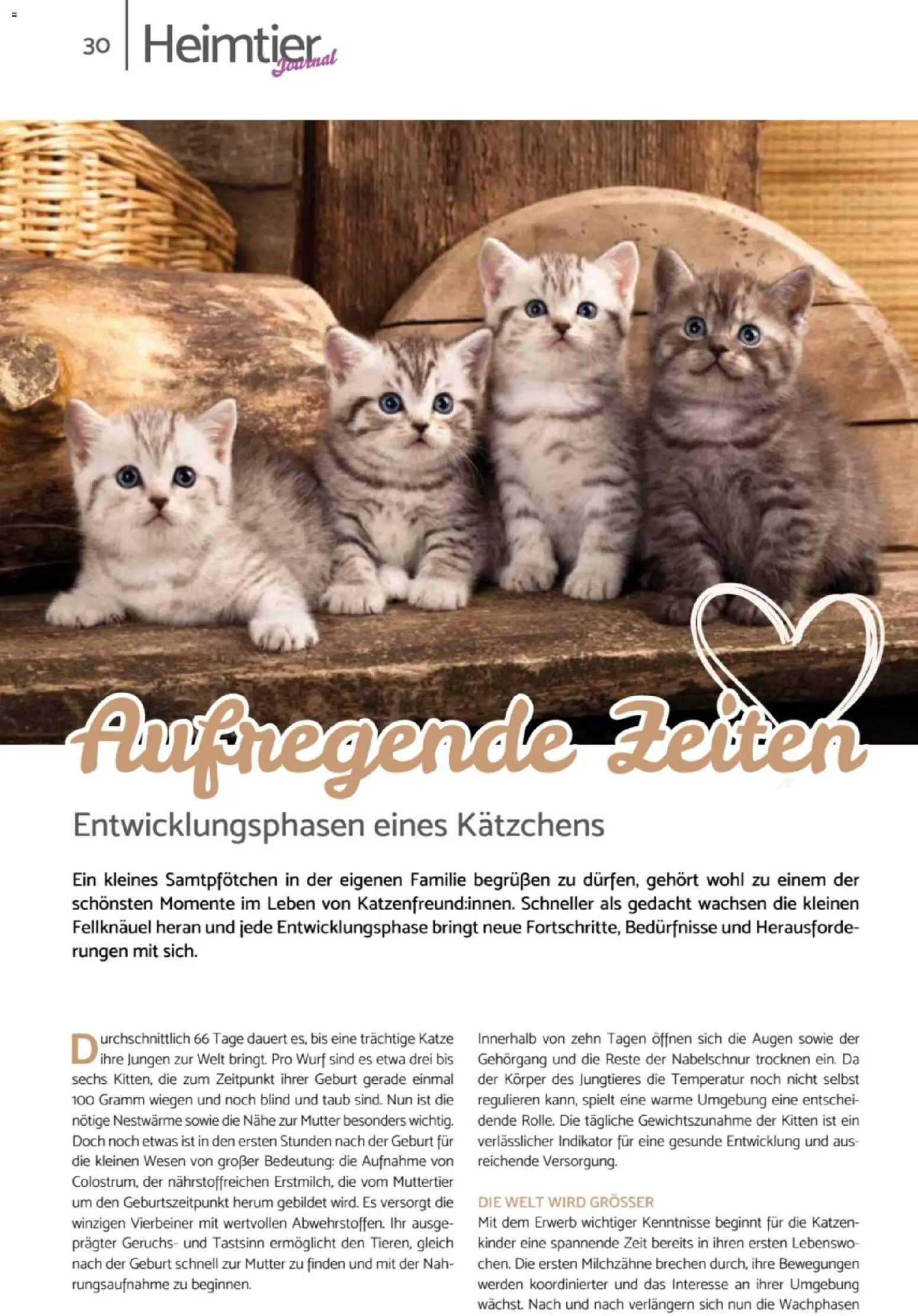 zookauf Heimtier Journal – gültig ab 01.04.2026 | Seite: 30