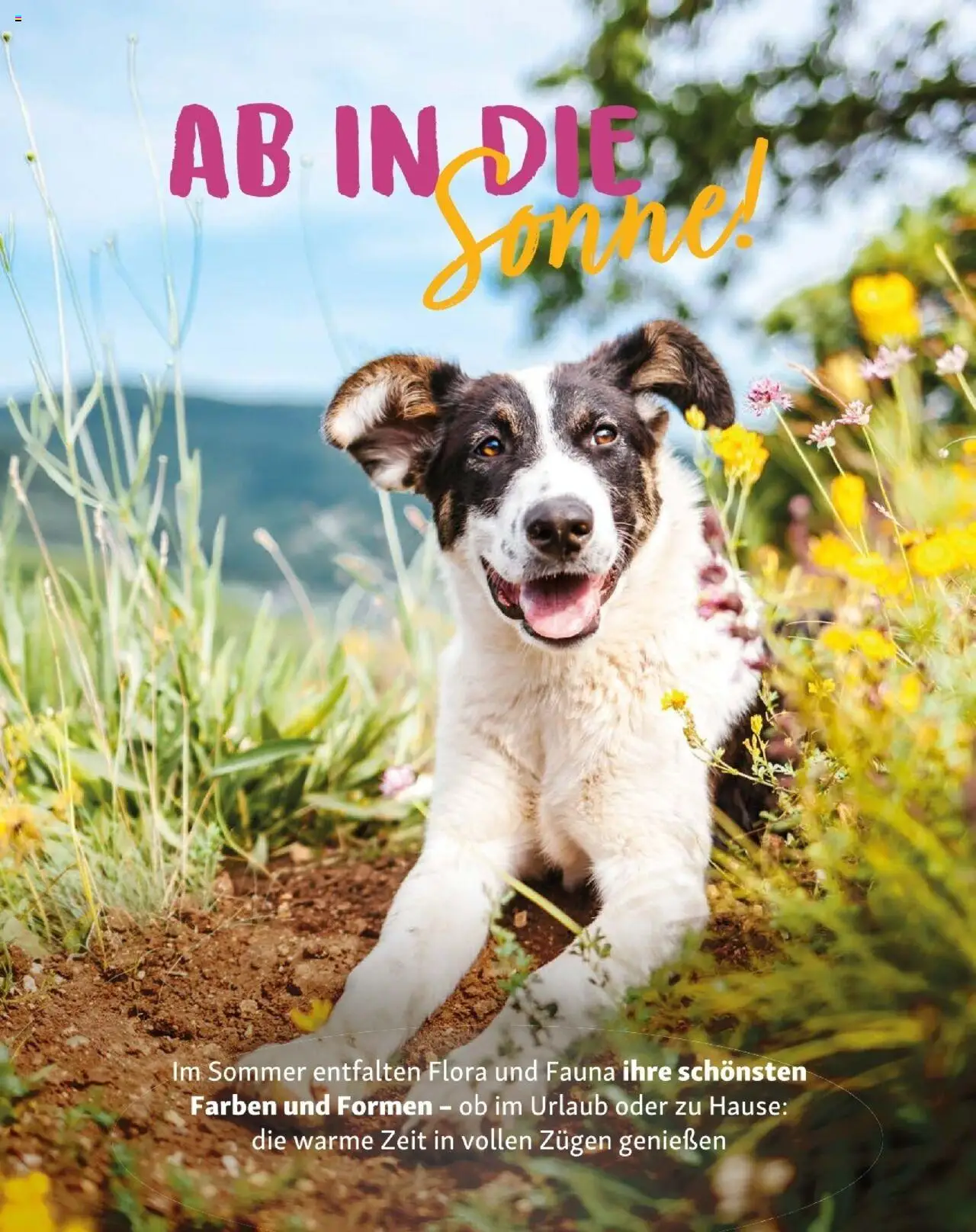 Fressnapf Friends 04/25 gültig ab 01.07.2025 | Seite: 10