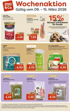 Zoo & co Prospekt 	 ab 09.03.2026 gültig