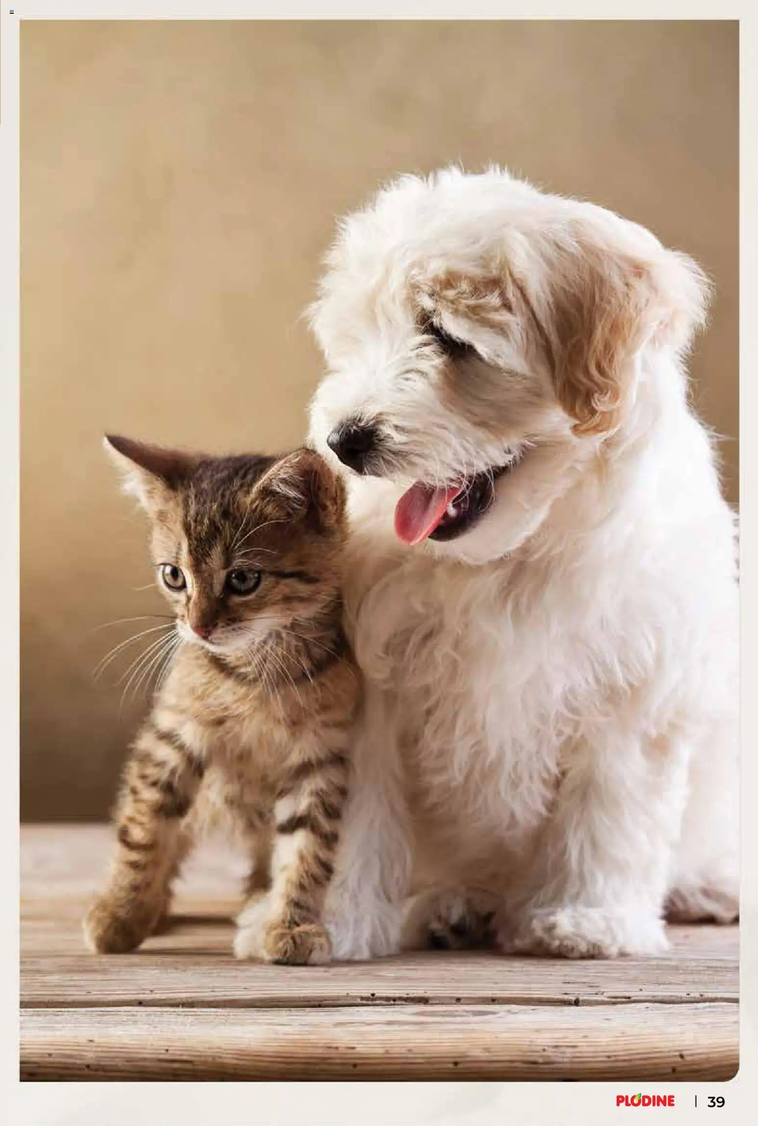 Plodine katalog | vrijedi od 04.03.2026 | Stranica: 39