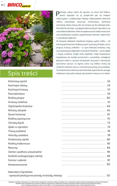Pogląd oferty "Brico Marché gazetka - Wiosna" - ważna od 04.03.2026 | Strona: 50 | Produkty: Trawy, Kalendarz, Rosliny