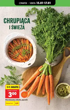 Pogląd oferty "Marchewka młoda, pęczek, Fresh young carrots, bunch." - ważna od 15.01.2026 | Strona: 34 | Produkty: Marchewka