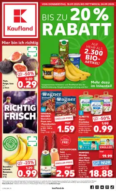 Kaufland prospekt Potsdam	 ab 18.09.2025 gültig