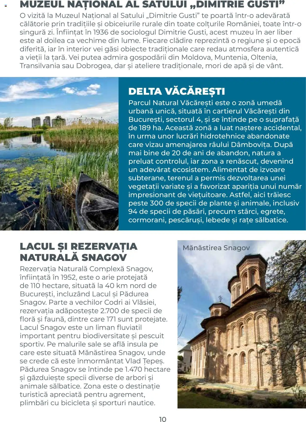 Metro catalog - Ghid de călătorie România – valabil de la 01.08.2025 | Pagină: 10 | Produse: Dana kuşbaşı, Pește, Apă