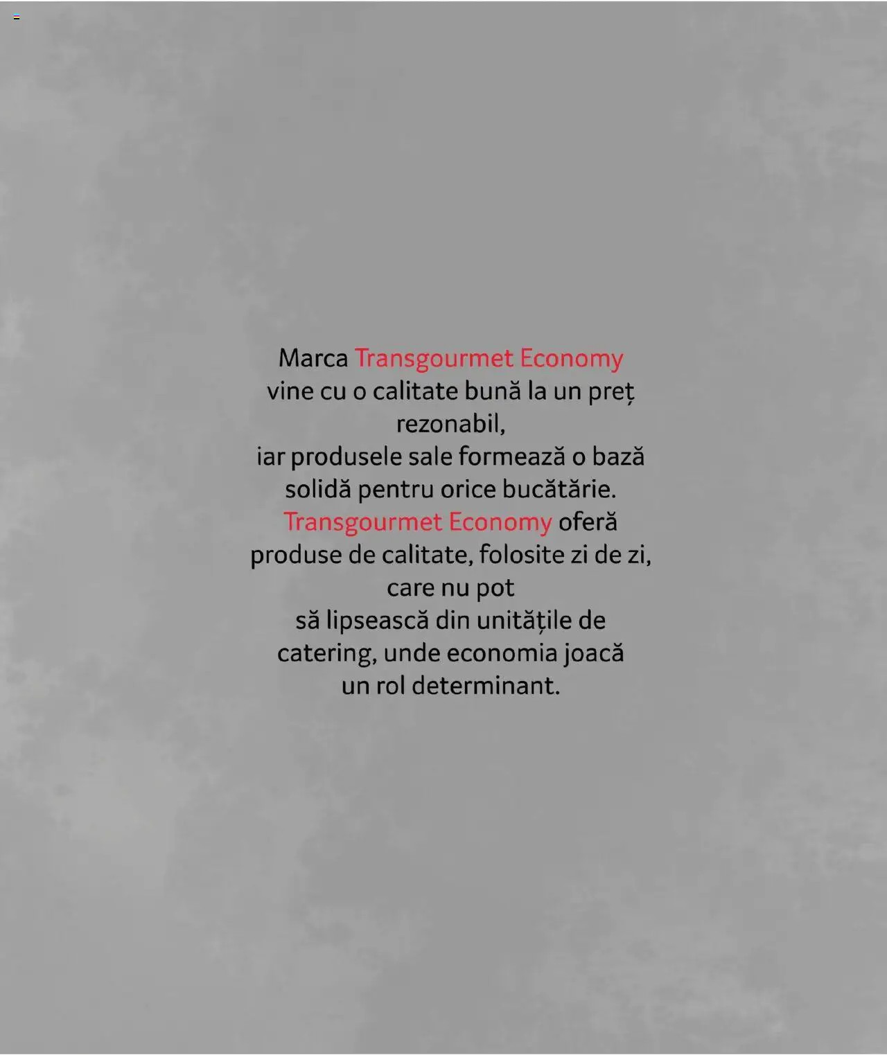 Catalog Selgros - Transgourmet – valabil de la 29.02.2024 | Pagină: 21 | Produse: Măsline, Ulei, Oțet, Sfeclă