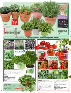 Bauhaus katalog akcije – veljaven od 15.04.2026 | Stran: 8 | Izdelki: Žemlja, Paradiznik, Zelenjava