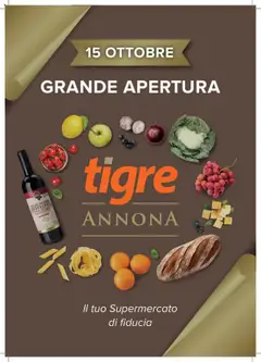 Anteprima del volantino Tigre Nuova Apertura Città del Vaticano catalogo valido a partire dal 15.10.2025