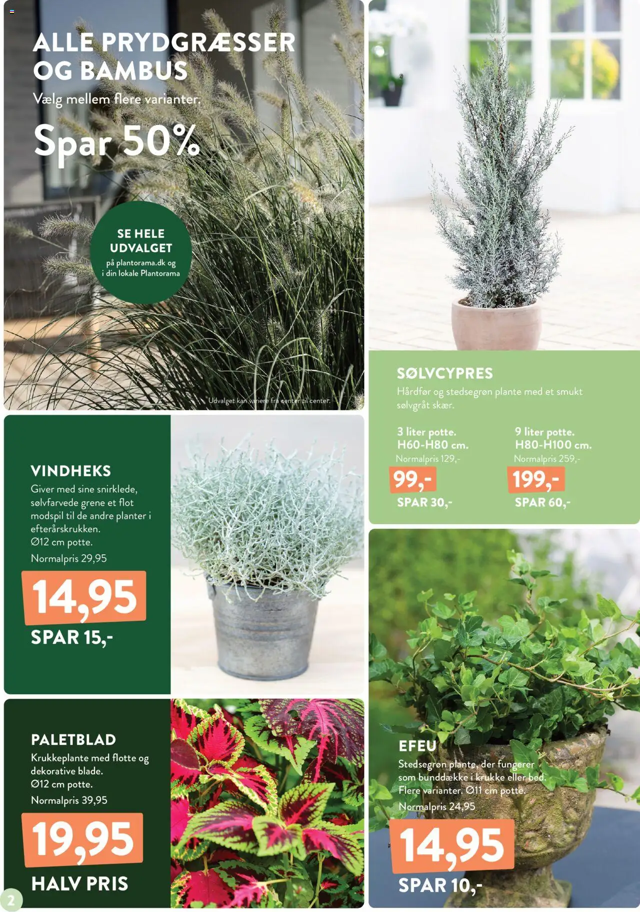 Plantorama tilbudsavis – gyldig fra 10.10.2025 | Side: 2 | Produkter: Krukke, Søm