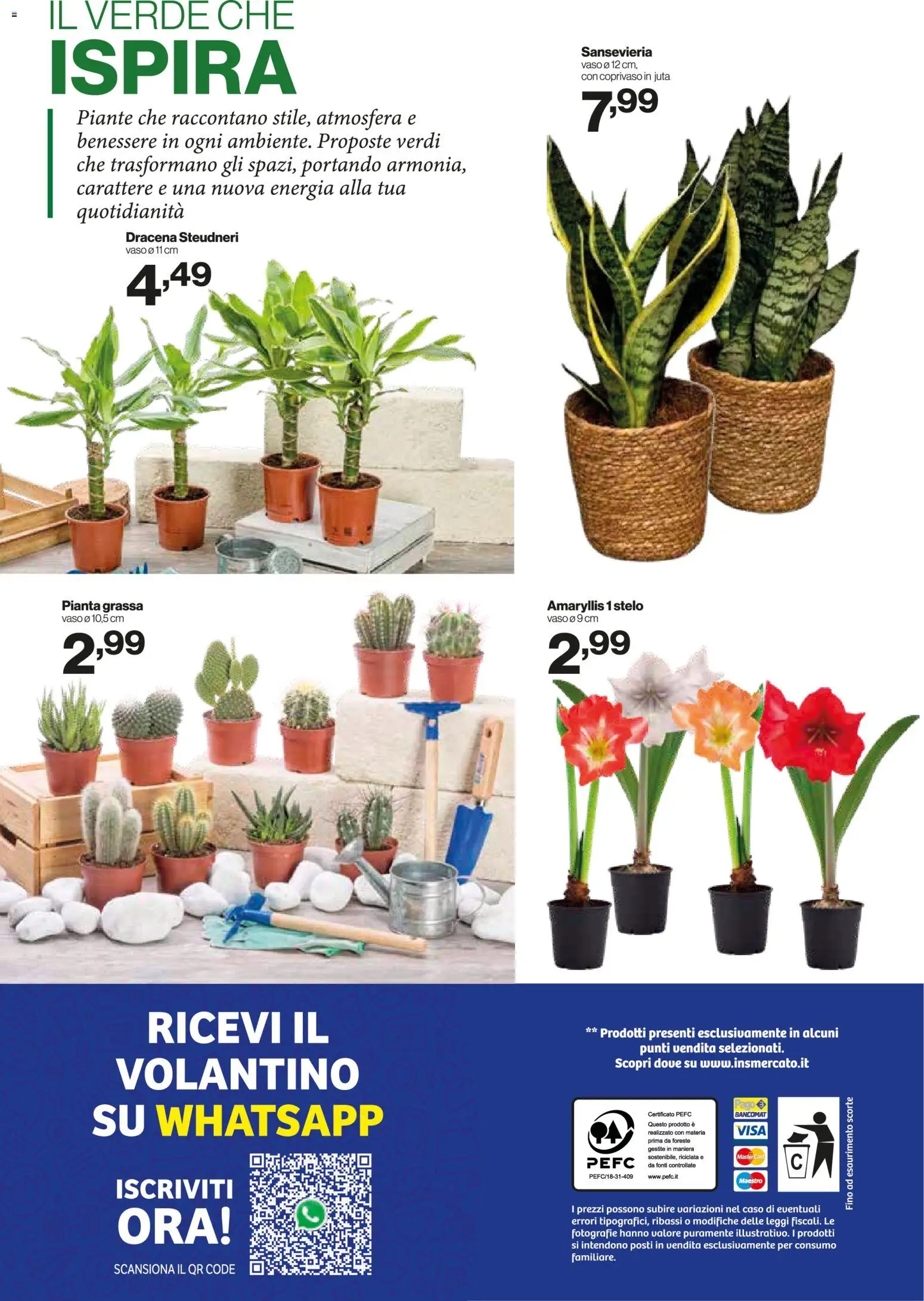 Volantino IN's del 31.12.2025 | Pagina: 24 | Prodotti: Vaso