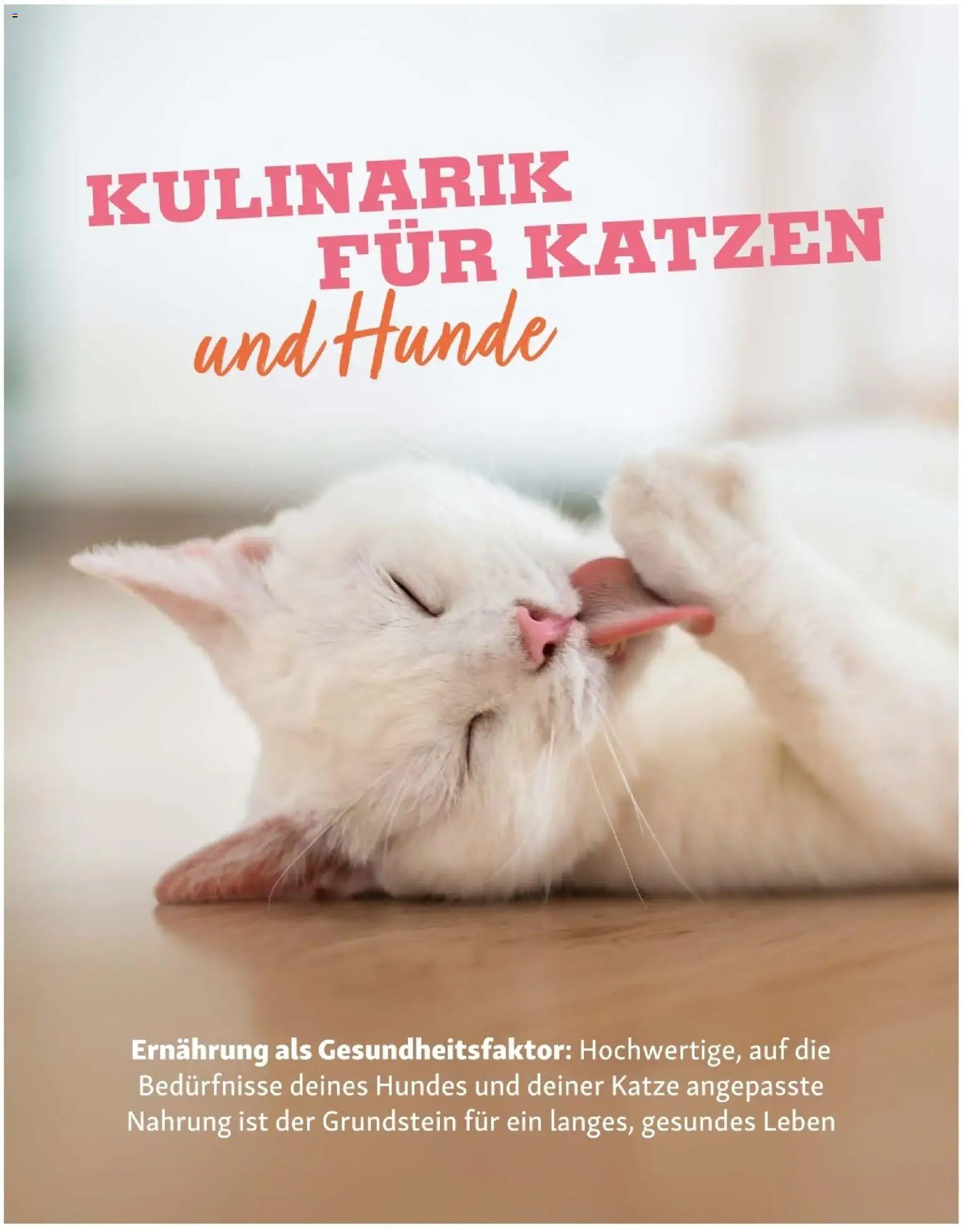 Fressnapf Friends 02/26 gültig ab 01.03.2026 | Seite: 16