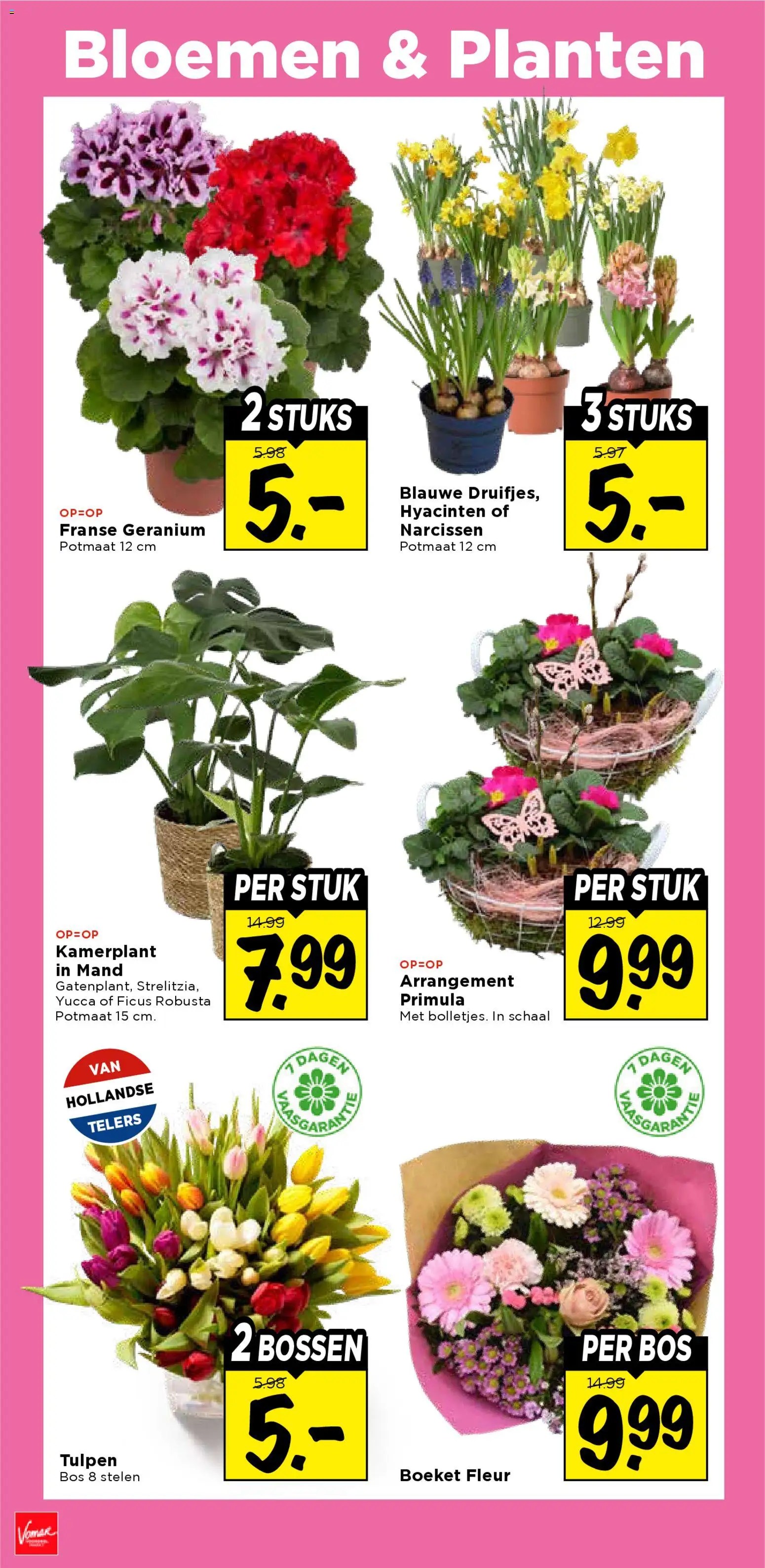 {H1} | Pagina: 33 | Producten: Schaal, Bloemen, Mand