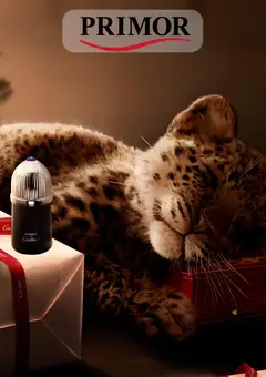 Vista previa Primor folleto válido desde el 11.12.2025