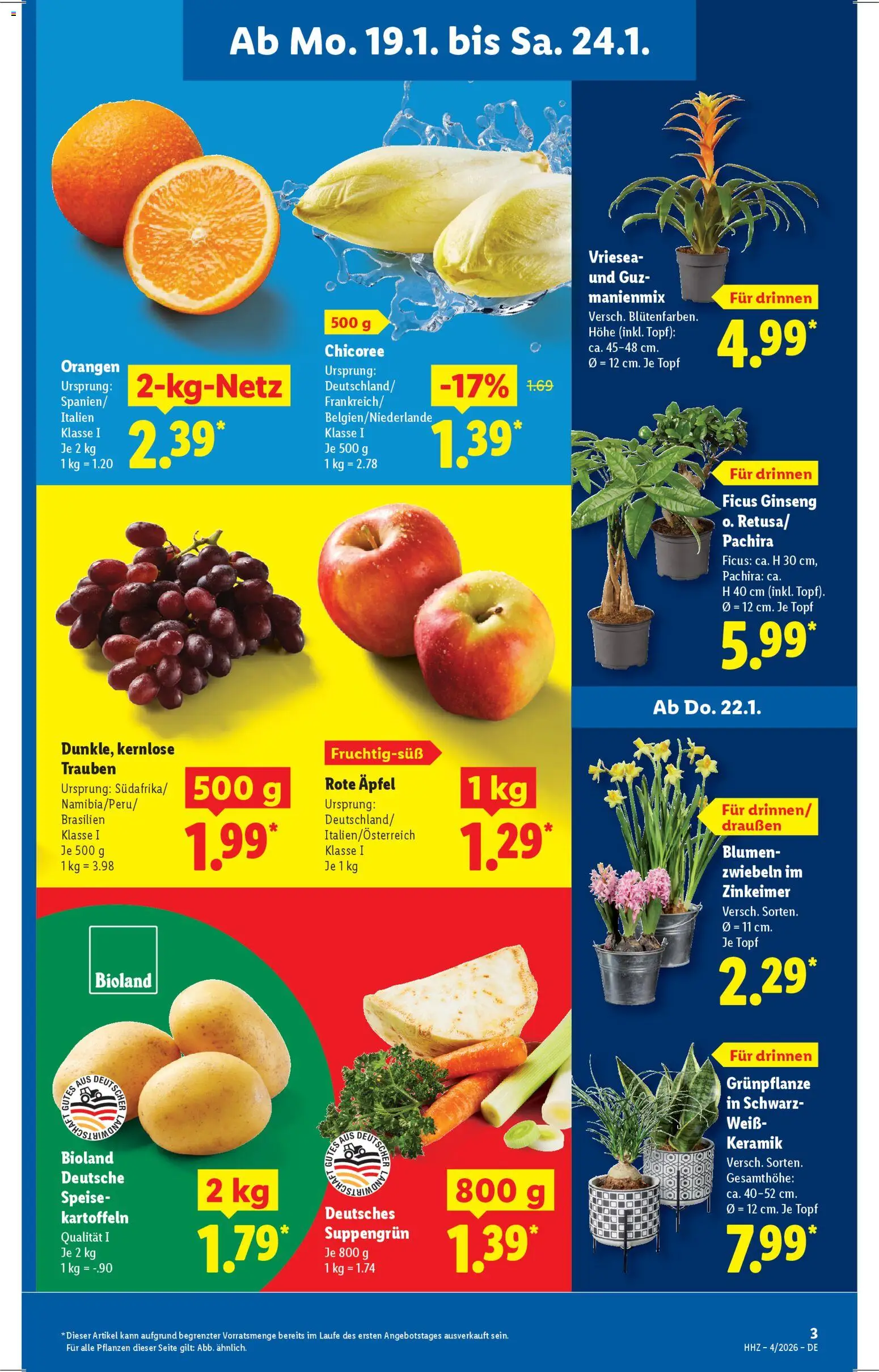 Lidl Prospekt München – gültig ab 19.01.2026 | Seite: 5 | Produkte: Trauben, Blumen, Kartoffeln, Zwiebeln