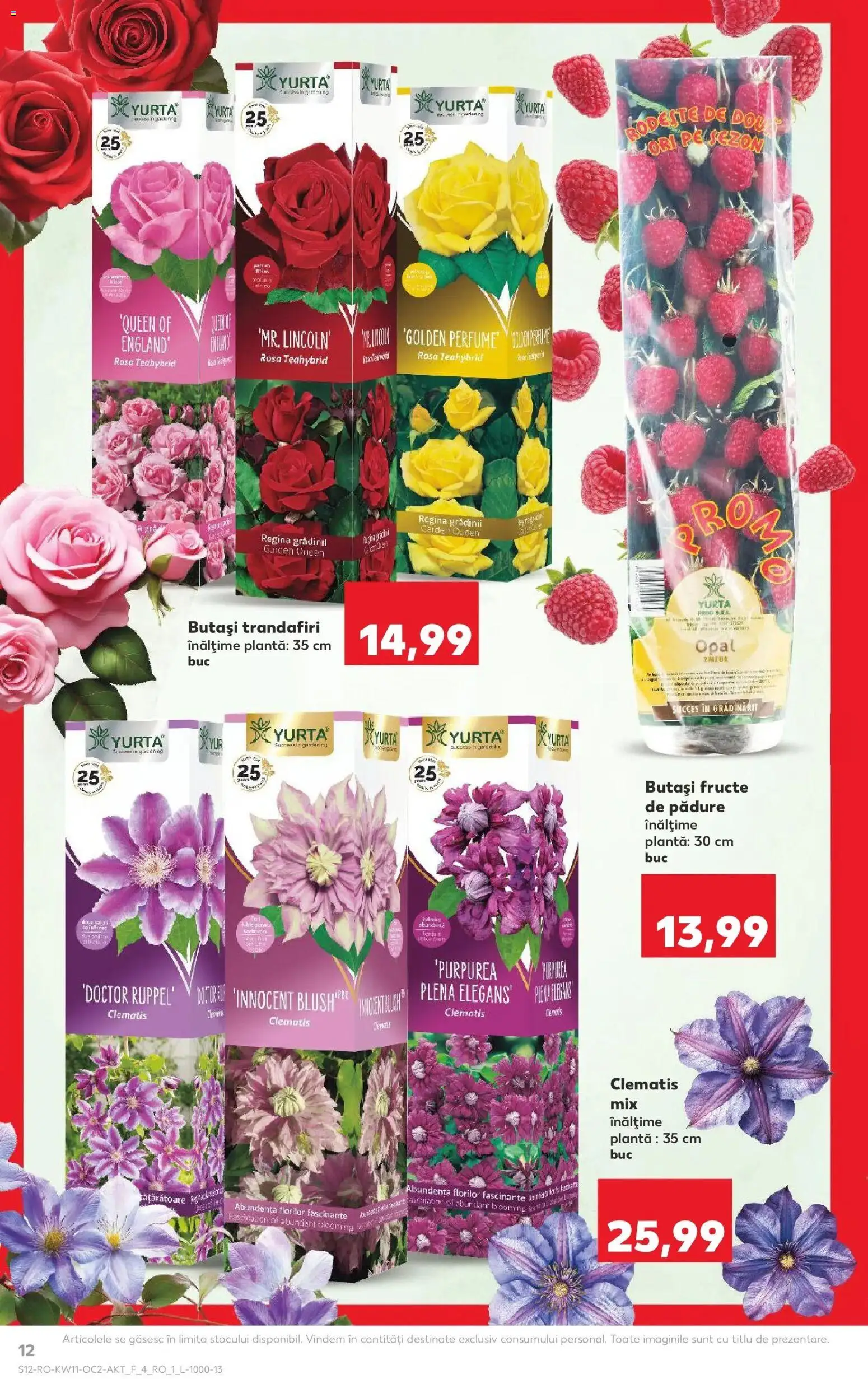 Noul catalog Kaufland – valabil de la 11.03.2026 | Pagină: 12 | Produse: Fructe