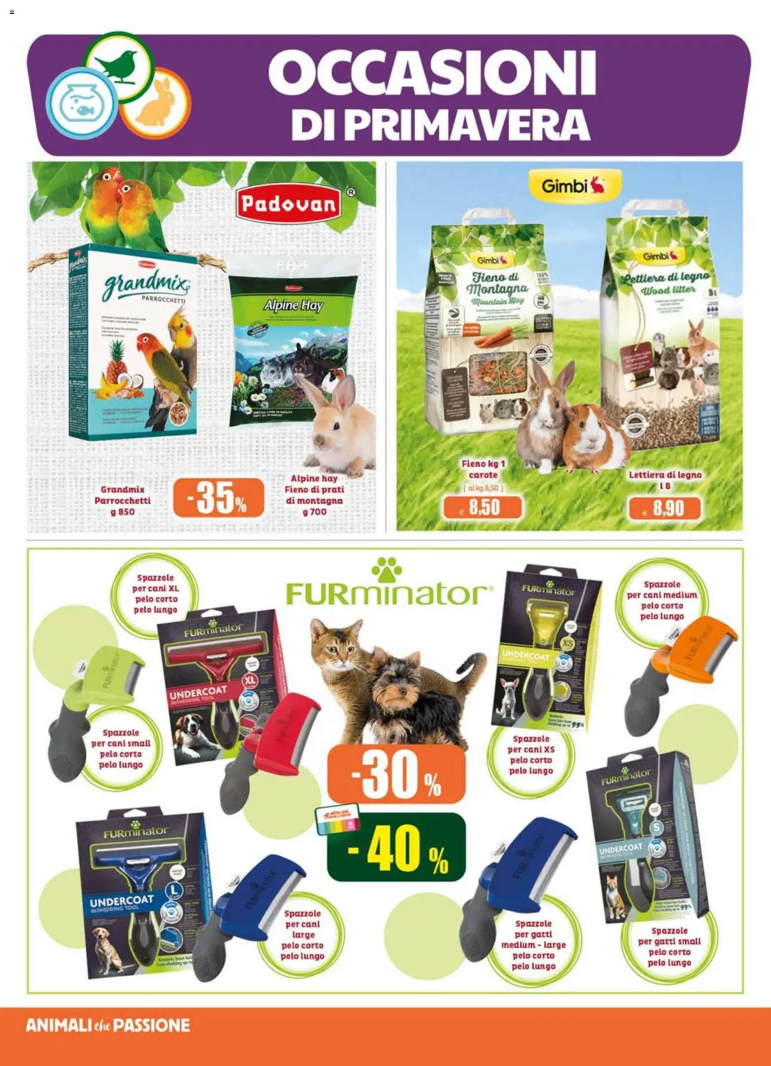 Volantino Elite Supermercati del 15.04.2026 | Pagina: 14 | Prodotti: Carote