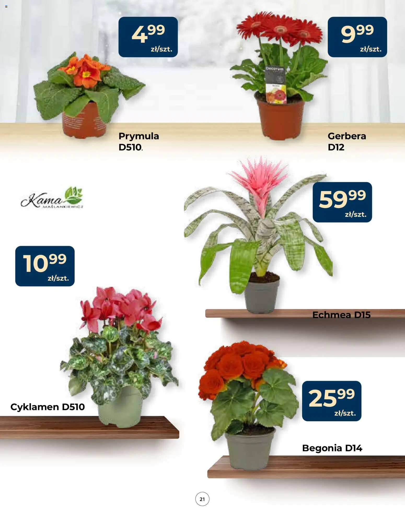 Mrówka Gazetka od 15.01.2026 | Strona: 21