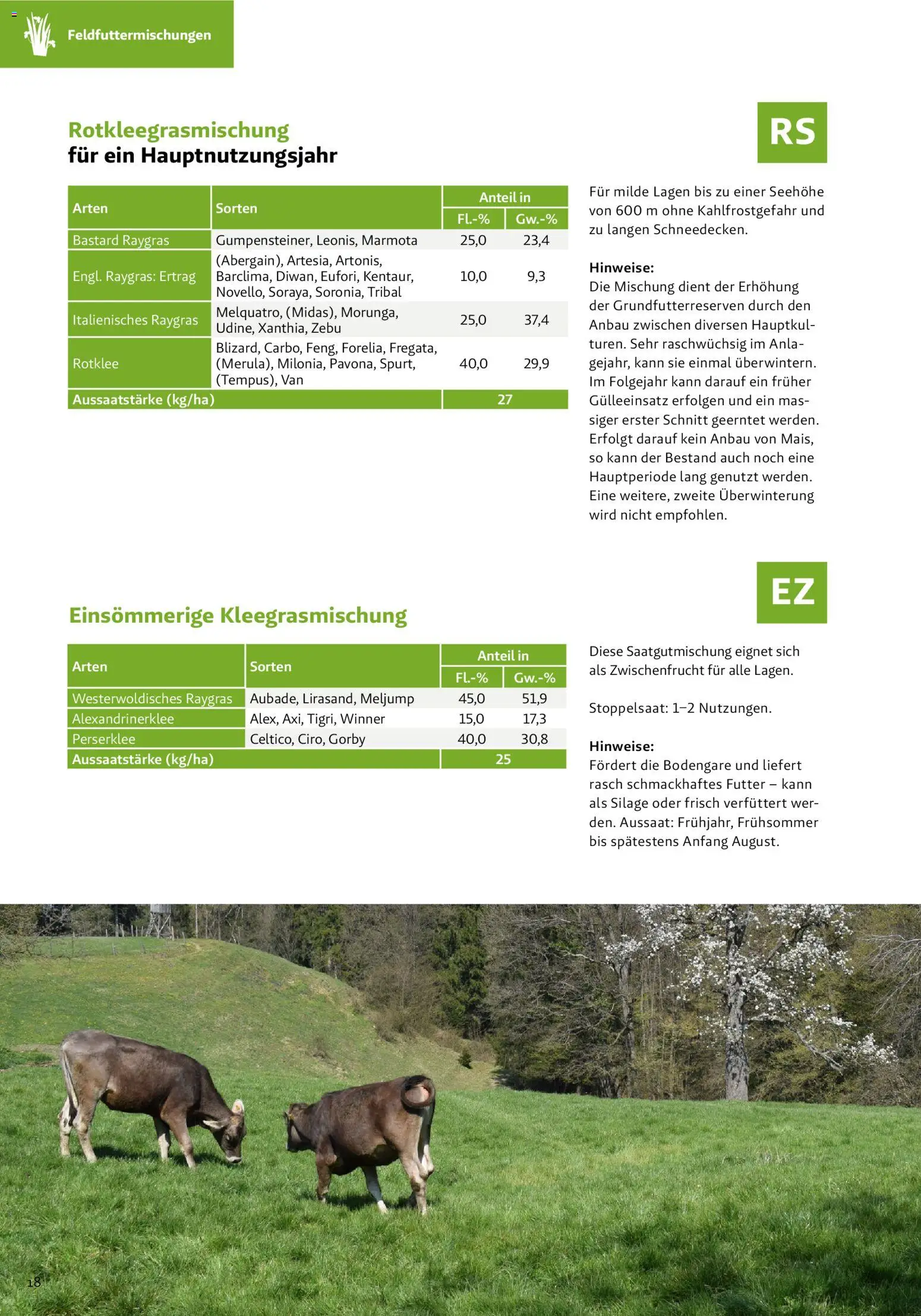Lagerhaus Grünland  2026 / 2027 / 2028 gültig ab 01.09.2026 | Seite: 18