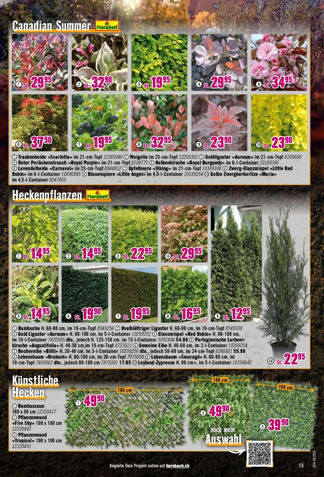 Hornbach Aktionen – gültig ab 15.09.2025 | Seite: 13