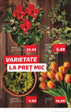 Kaufland RO akciós újság - amely érvényes a következő dátumtól: 22.04.2026 | Oldal: 13