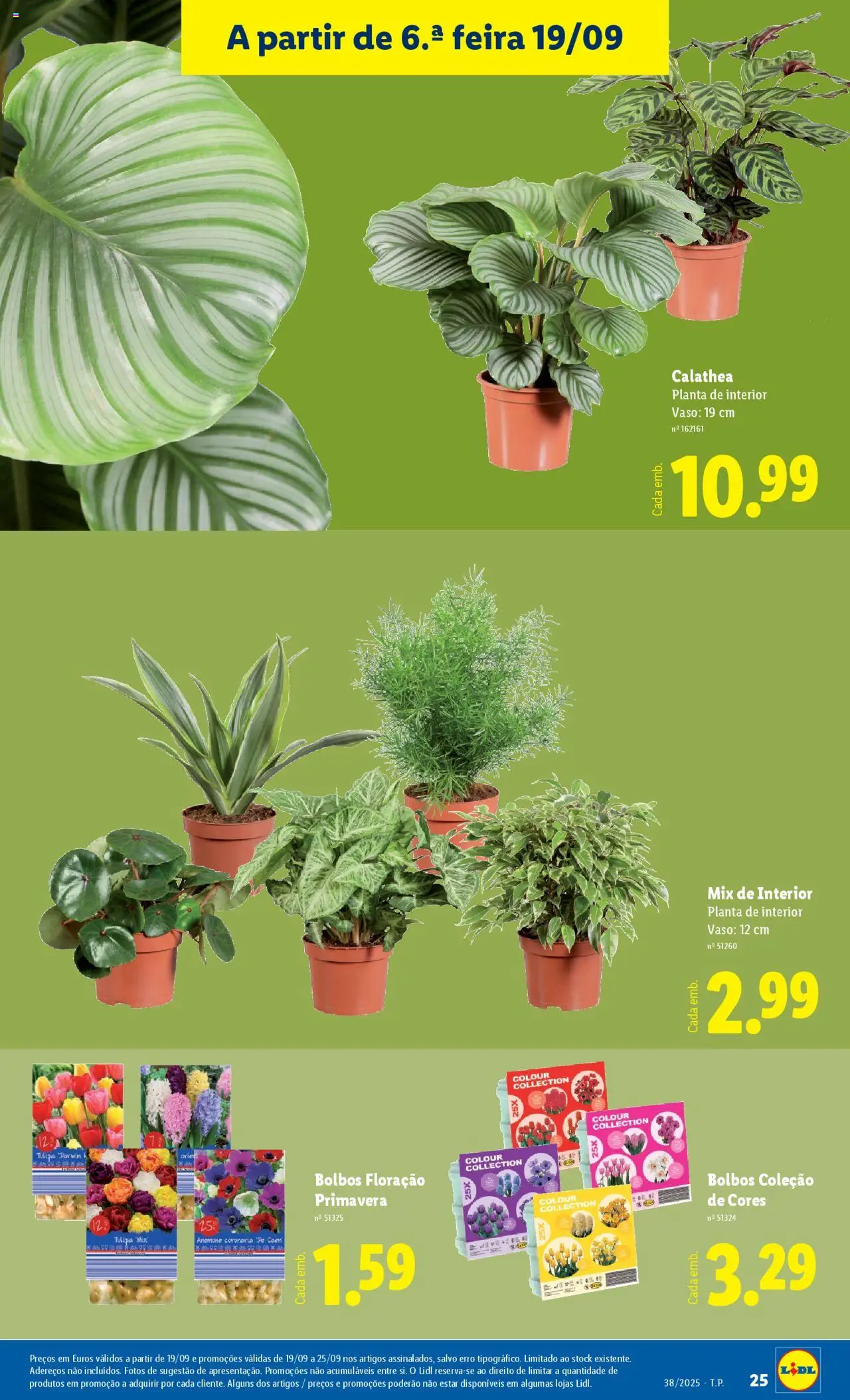 Lidl Novidades │ válido de 15.09.2025 | Página: 25 | Produtos: Vaso