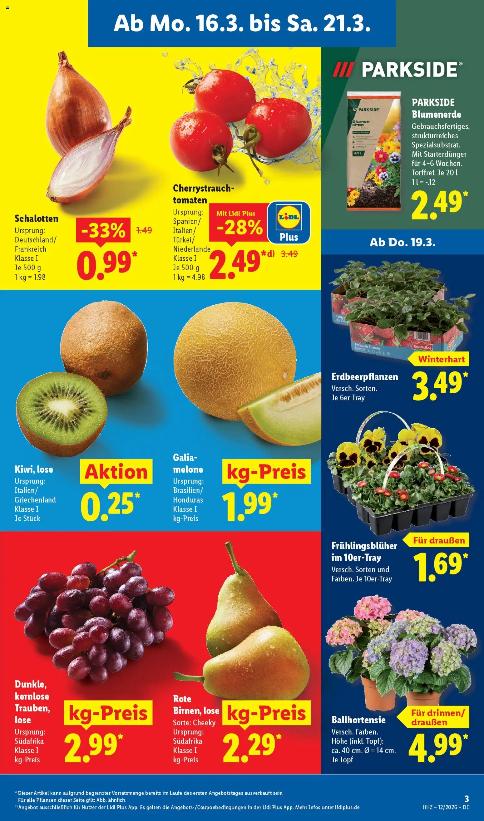 Lidl Prospekt – gültig ab 16.03.2026 | Seite: 5 | Produkte: Blumen, Tomaten, Blumenerde, Melone