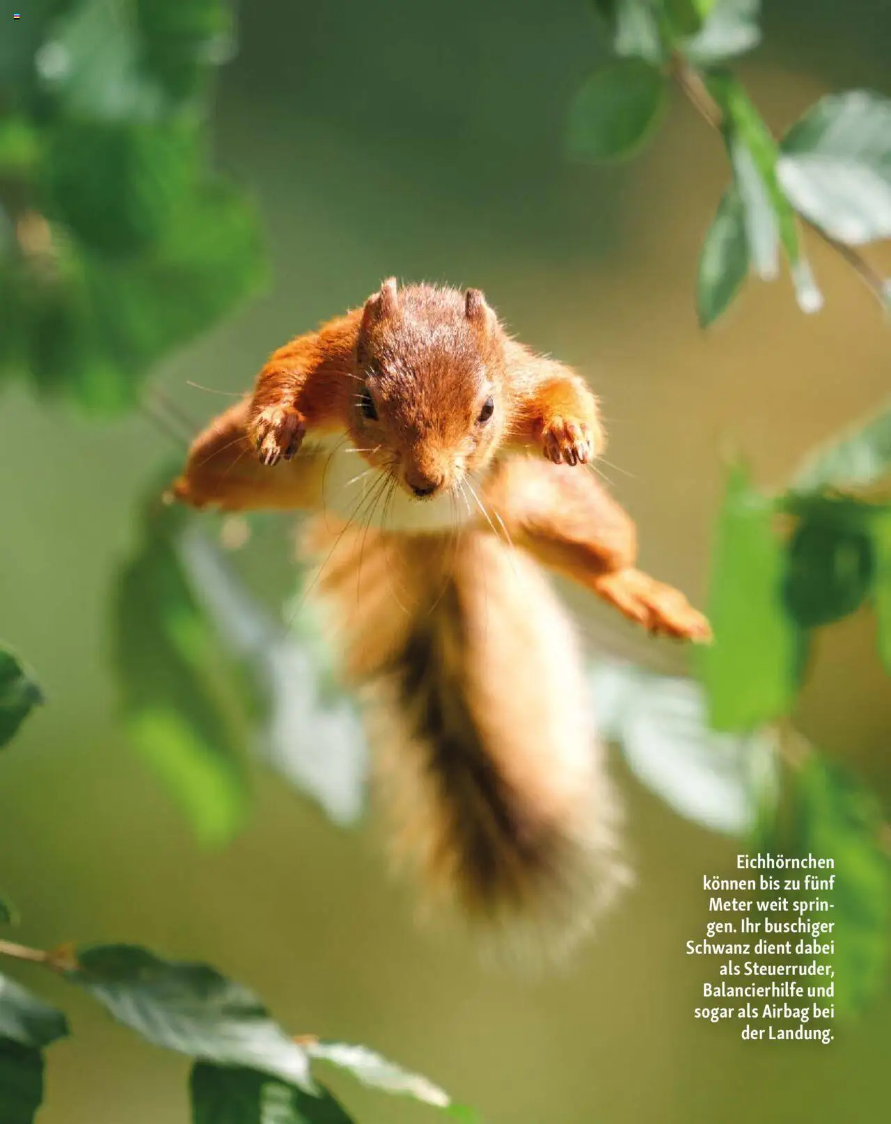Fressnapf Friends Magazin – gültig ab 01.09.2025 | Seite: 12