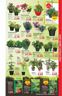Wiglo Wunderland Prospekt 	 ab 20.04.2026 gültig | Seite: 7 | Produkte: Pflanzerde, Blumenerde, Wasser, Paprika