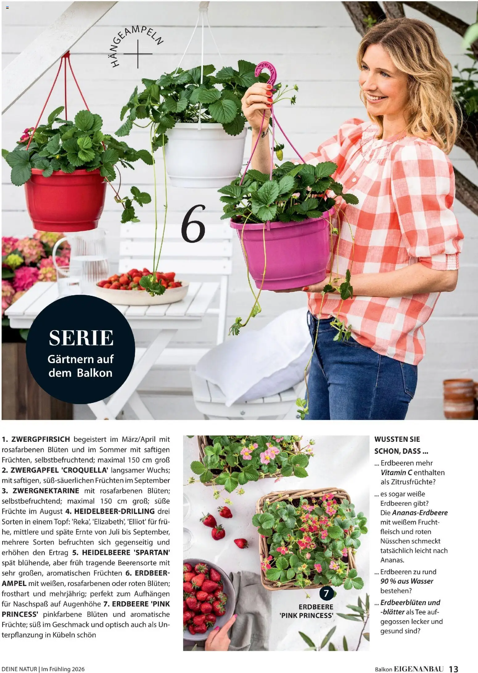Dehner Flugblatt gültig ab 05.03.2026 | Seite: 13 | Produkte: Erdbeeren, Wasser, Vihreä pesto, Tee