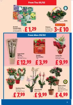 Preview of Lidl - Valentine valid from 05.02.2026 | Page: 21