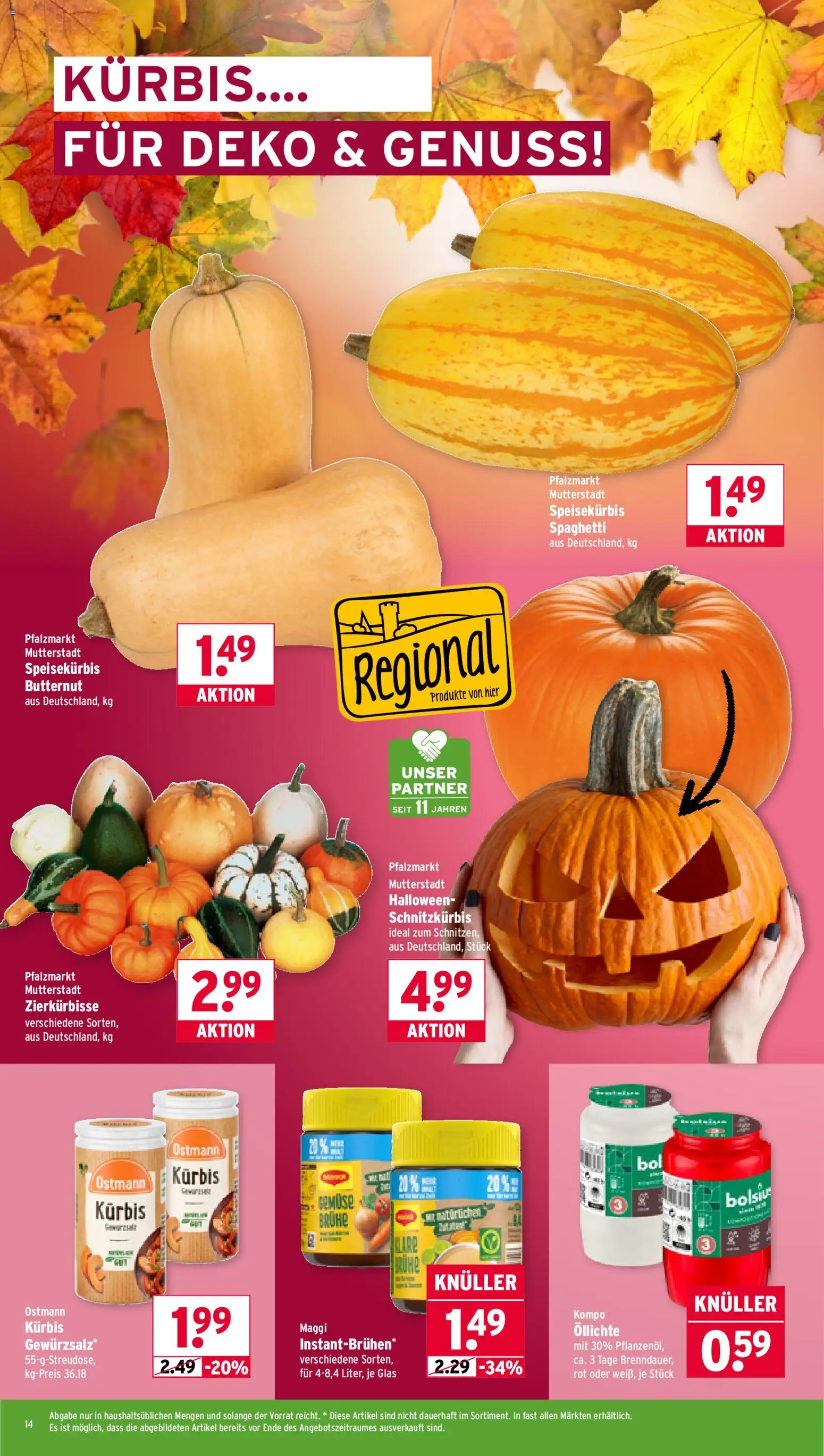 Wasgau Prospekt 	 – gültig ab 27.10.2025 | Seite: 14 | Produkte: Kürbis